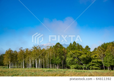Mt. Ontake Mt. Shirakaba Forest seen from Kiso Horse Village in Kaida Kogen, Nagano Prefecture Mt. Ontake Mt. Shirakaba Forest seen from Kiso Horse Village in Kaida Kogen, Nagano Prefecture 64811392