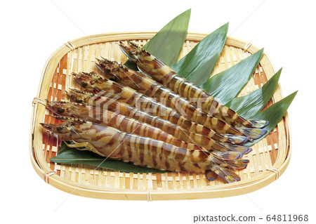 Kuruma shrimp _05 (with clipping path) 64811968