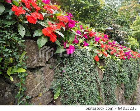 布查特花園 64813238