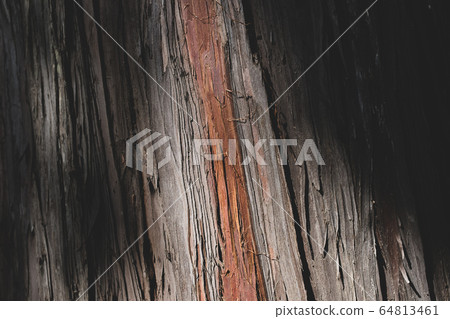 Hinoki bark and sunbeams a-2 matte finish Hinoki bark and sunbeams a-2 matte finish 64813461