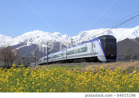 Oito Line Spring Hakuba Sansho 64815196