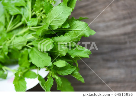 Holy basil leaf nature vegetable garden on bowl 64815956
