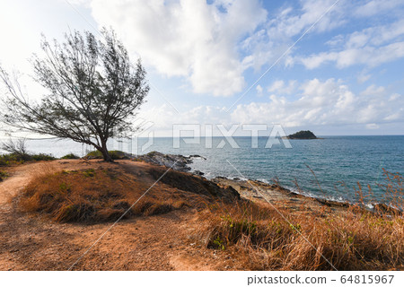 View of sea waves with tree and fantastic rocky View of sea waves with tree and fantastic rocky 64815967