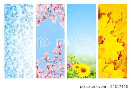 Four seasons of year 64817158