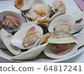 Clam wine 64817241