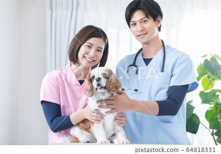 獸醫和騎士 獸醫和騎士 64818331