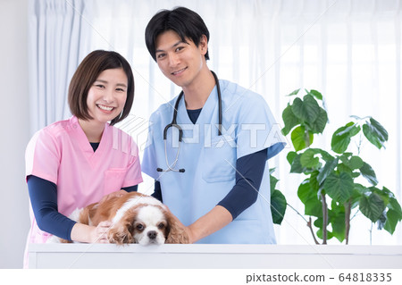 Vet and cavalier 64818335