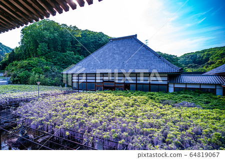 Ofuji Natural Monument 64819067
