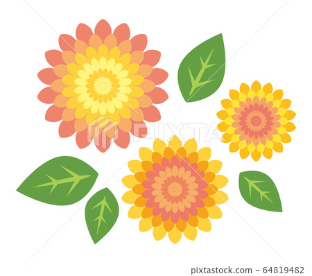 Flower dahlia 64819482