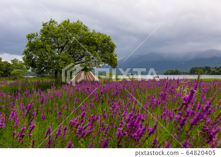 Urabandai campground and tent 64820405