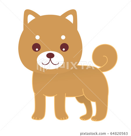柴犬狗圖 柴犬狗圖 64820563