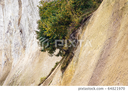 Baltic Sea coast on the island Ruegen, Germany Baltic Sea coast on the island Ruegen, Germany 64821970