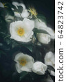 花 64823742