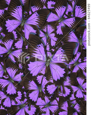 Abstract pattern maden from different colorful Abstract pattern maden from different colorful 64825499