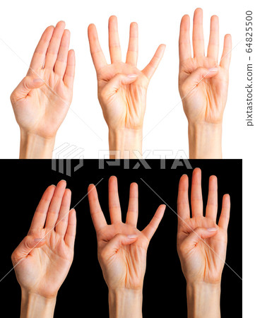 Set of woman hands showing four fingers and palm Set of woman hands showing four fingers and palm 64825500
