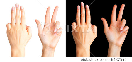 Set of woman hands showing three fingers and palm Set of woman hands showing three fingers and palm 64825501