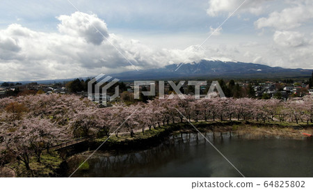 在河口湖和富士山的櫻花 64825802