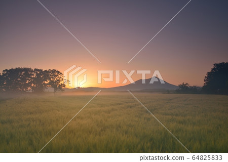 筑波山和麥田在清晨 64825833