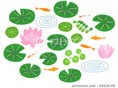 Water lily medaka water lily bowl 64826168