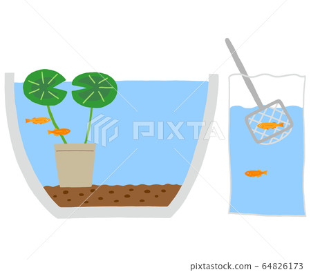 將青aka與水混合將青aka轉移至碗中 64826173