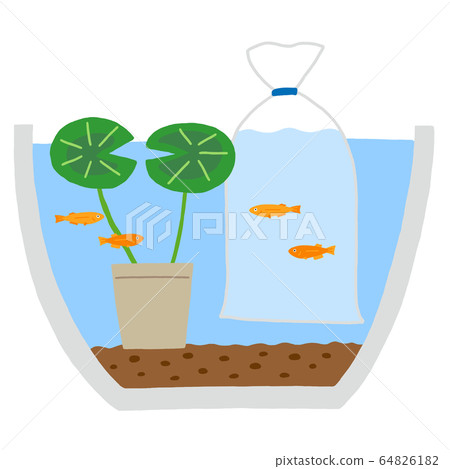 Matching the water temperature of medaka 64826182