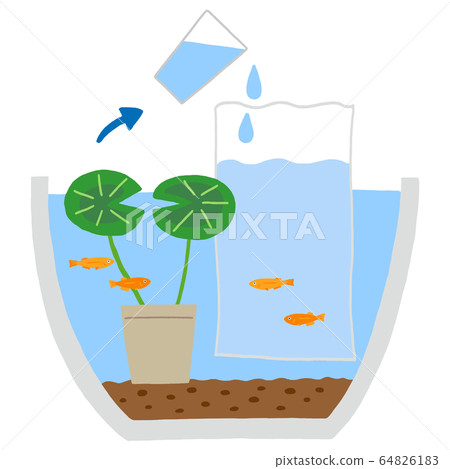 Matching water quality of medaka 64826183