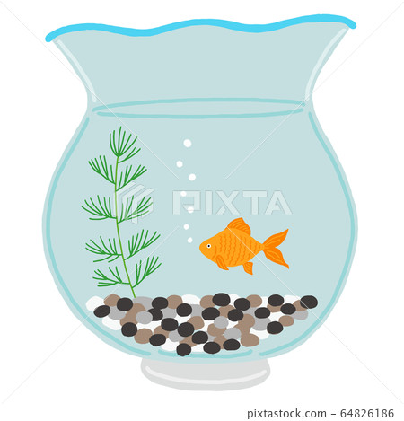金魚碗松茂金魚 64826186