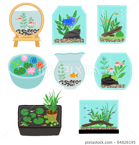 Water tank water lily bowl aquarium set 64826195