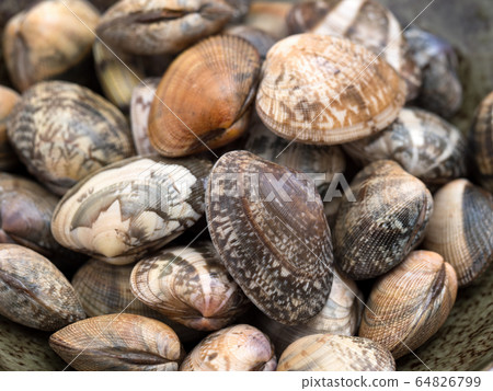 Raw clams Raw clams 64826799
