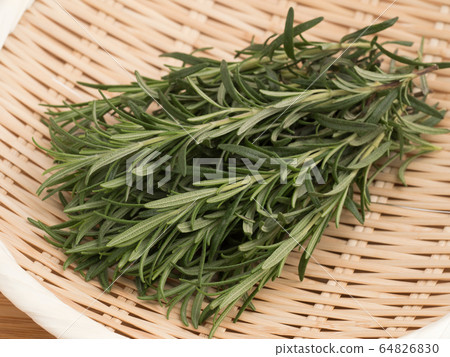 Herb Rosemary Herb Rosemary 64826830