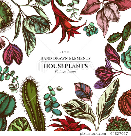 Floral design with colored ficus, iresine, kalanchoe, calathea, guzmania, cactus 64827027