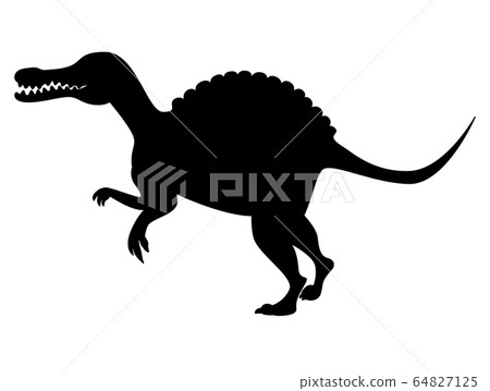 Spinosaurus dinosaur silhouette isolated on white Spinosaurus dinosaur silhouette isolated on white 64827125
