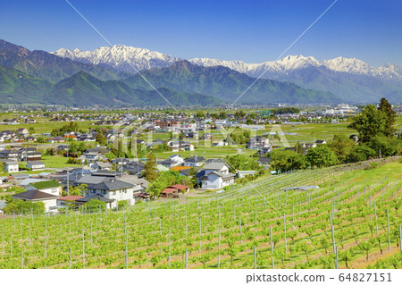 從長野縣北安住區池田町的北阿爾卑斯山觀察博物館看北阿爾卑斯山和池田町 64827151