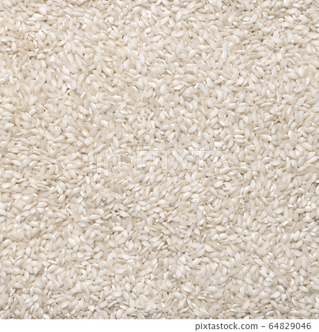 Italian Carnaroli risotto rice 64829046