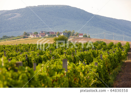 wine cellars in Bukkzserc, Hungary 64830358