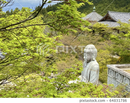 花瓶佛大佛 花瓶佛大佛 64831786