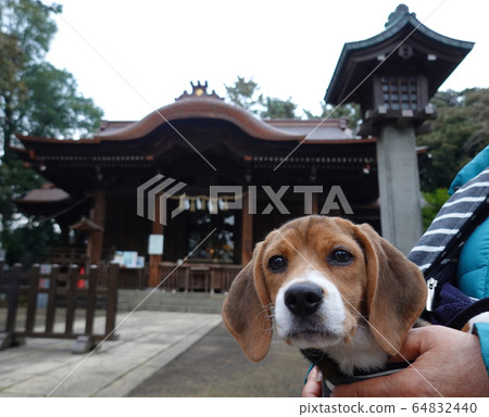 Beagle Shrine Puppy Puppy Dog Sling Beagle Shrine Puppy Puppy Dog Sling 64832440