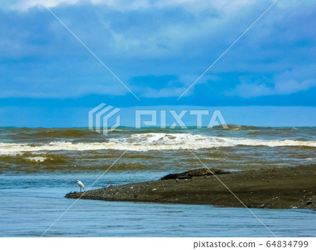 Corcovado National Park, Osa Peninsula, Costa Rica 64834799