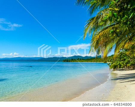 Beach in Cahuita National Park, Caribbean Coast, Beach in Cahuita National Park, Caribbean Coast, 64834800