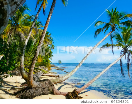 Beach in Cahuita National Park, Caribbean Coast, Beach in Cahuita National Park, Caribbean Coast, 64834801