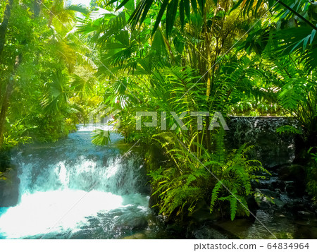 Tabacon Hot Springs River at Arenal Volcano, 64834964