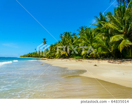 Beach in Cahuita National Park, Caribbean Coast, Beach in Cahuita National Park, Caribbean Coast, 64835014