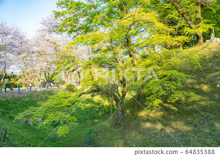 [愛知縣]長野城堡廢墟 64835388