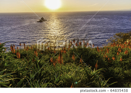(Shizuoka Prefecture) Nishi-Izu Town Tako / Imayama aloe evening view 64835438