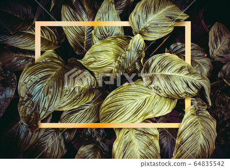 Leaf Background Gold - Gold leaf isolated on a white background stock
