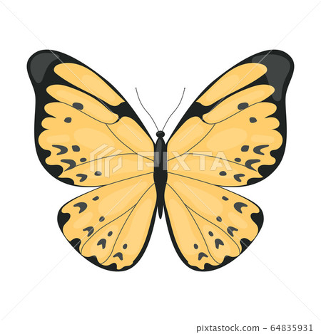 Yellow Tropical Butterfly, Beautiful Colorful Flying Insect for Decorative Element Vector Illustration 64835931