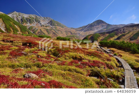 Autumn scenery Tateyama Ratorizawa 64836059