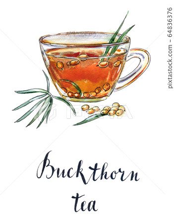 Glass of buckthorn tea Glass of buckthorn tea 64836376