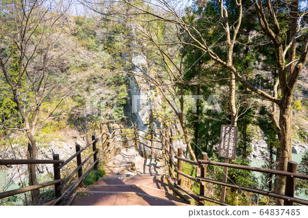 [Nagano Prefecture] Tenryukyo 64837485