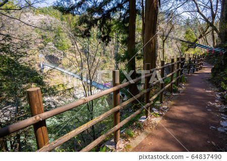 [Nagano Prefecture] Tenryukyo 64837490